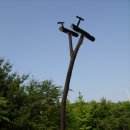 서울정목초등학교 이미지