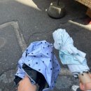 고속철역길 | 성심당 썸머요거피치 주말 웨이팅 후기(빵 종류,대전역에서 성심당까지 시원하게 가는 법)