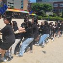 송화초등학교 이미지