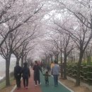 화랑유원지 이미지