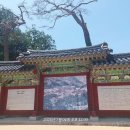 죽도마트 Daum카페