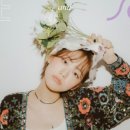 하이드앤식