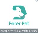 피터펫 이미지