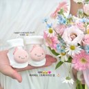 꽃과정 | [제주스냅]러베이X설레다X빛물꽃 예약과정 및 예약확정 후기