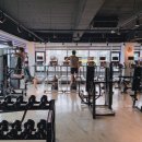 신영헬스클럽 이미지