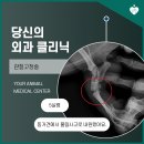 영동동물병원 이미지