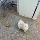 가로수 노래연습장 이미지