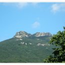 남도의 향기 이미지