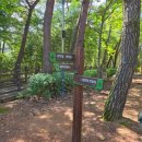 임경대 | [양산 임경대 산책로] 남동생과 반려견과 함께 걷기 좋은 데크로드 후기