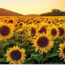 이로움메디컬 이미지