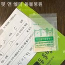펫앤쉘터동물병원