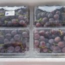 두리농장3 이미지