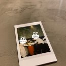 정든몰