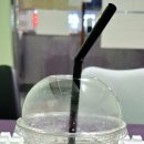 전생에인연펫 이미지