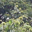 진원농장2 이미지