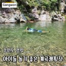 느티나무 | 영월 느티나무 캠핑장 계곡 수영장 조식 1박 후기