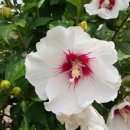 장성공원 경관폭포 이미지