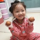 네이처킹덤 이미지