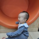 아기 사두증 셀프 교정 후기 사두 단두 집에서 셀프 관리법