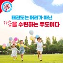 한미태권도스쿨 이미지