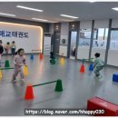 용인대 정도태권도장 | 매교 태권도, 용인대매교태권도장에서 배우는 아이의 즐거운 도전