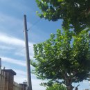 신흥고교 정류장 이미지