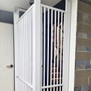 옛경춘로2 이미지