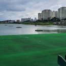 기흥수상골프 이미지