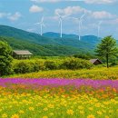 삼양목장 이미지