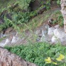 약손요양병원 이미지