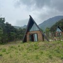 봉양로-1 이미지