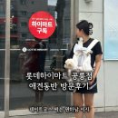 삼성애견 | 롯데 하이마트 공릉점 애견동반 후기 하이마트몰 갤럭시z폴드8 실물 삼성가전