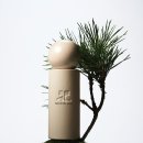 자연-탄생 이미지