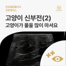 행신동물병원 이미지