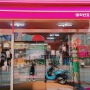 우아하개 이미지