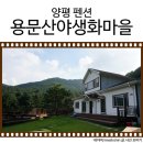 용문산야생화마을 이미지