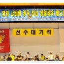 함평나비(광주) 이미지