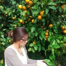 빈이네농장 이미지