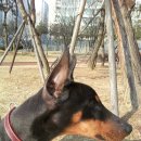 승기농장 이미지