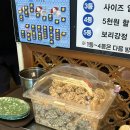 꽃잔디식당 이미지