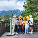 대발농장 | 고성여행 켄싱턴리조트 설악밸리 로얄스위트 키즈베른 객실 부대시설 이용후기 가족여행숙소로 최고