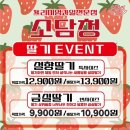 🍓왕왕특 설향&amp;금실 이벤트~ 스테비아토마토~ 치키타 바바나~ 할인~ 이미지
