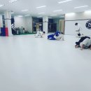 본주짓수충주