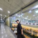 어머니와고등어 이미지