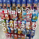 펫피아24 - 남구 못골로12번길 74 | 펫피아24