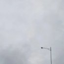대구의흥초등학교석산분교장 | 굿바이 군위
