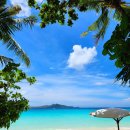 마닐라라이브클럽 | 아만풀로 여행 총정리/마닐라 경비행기부터 숙소·액티비티·식사까지 직접 다녀온 리얼 후기 1편