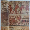 『문자의 역사』(제13회) 조르주 장Georges Jean, 벌써 5천년 전에 사용된 종이, 펜, 잉크
