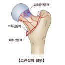 생기나라한의원 이미지