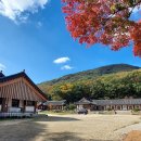 선운사 - 1268 | 선운사